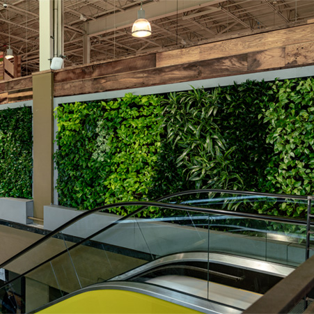 Indoor Plant Wall Installation Services