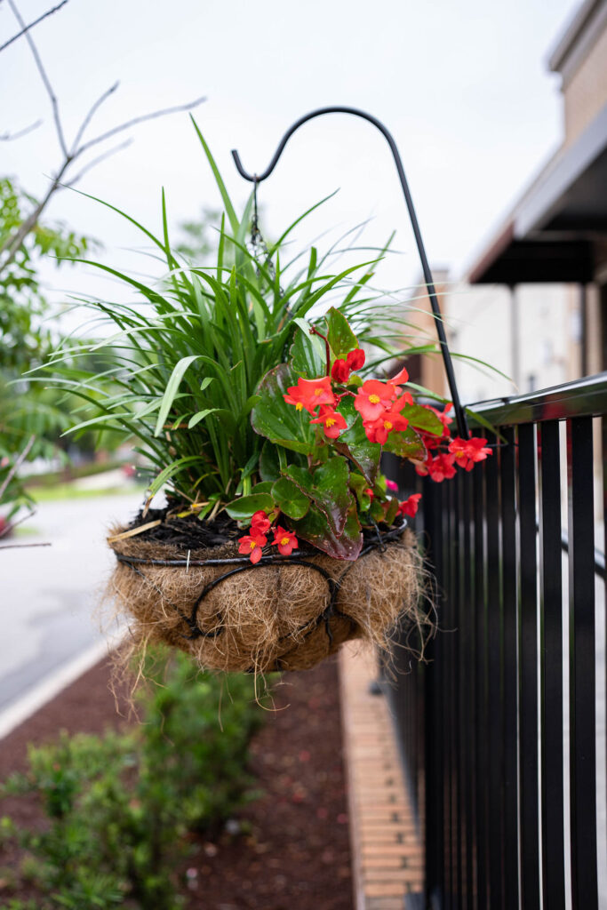 Small Outdoor Hanging Baskets
