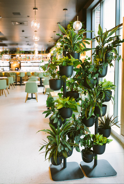 Professional Plant Designs for Commercial Properties