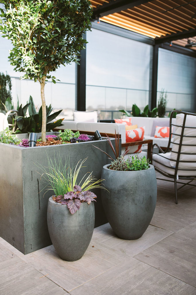 4 Ways To Improve Your Outdoor Commercial Space With Plants
