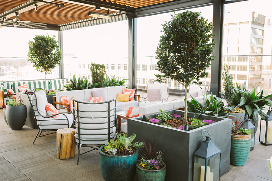 4 Ways To Improve Your Outdoor Commercial Space With Plants