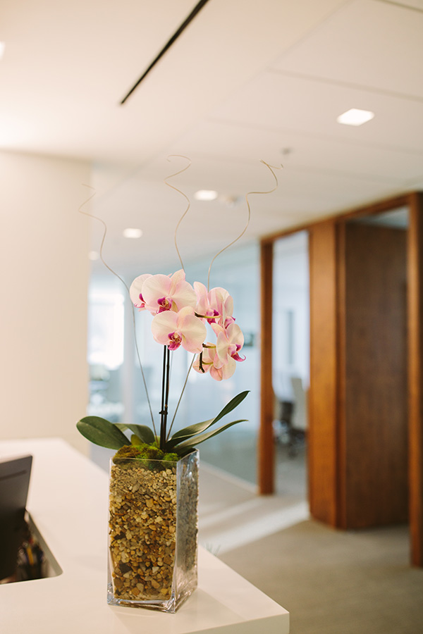 Desktop Orchid for Offices