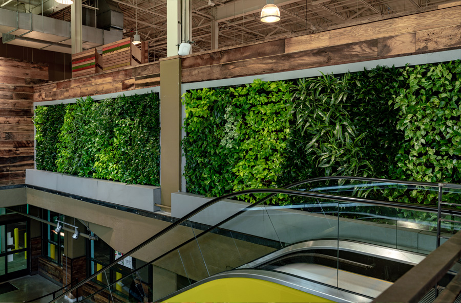 Interior Plant Wall Design