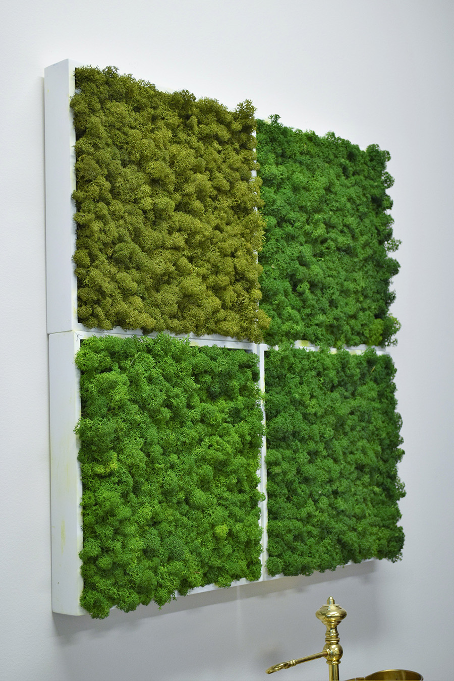 Vibrant Moss Art Wall Installation & Maintenance