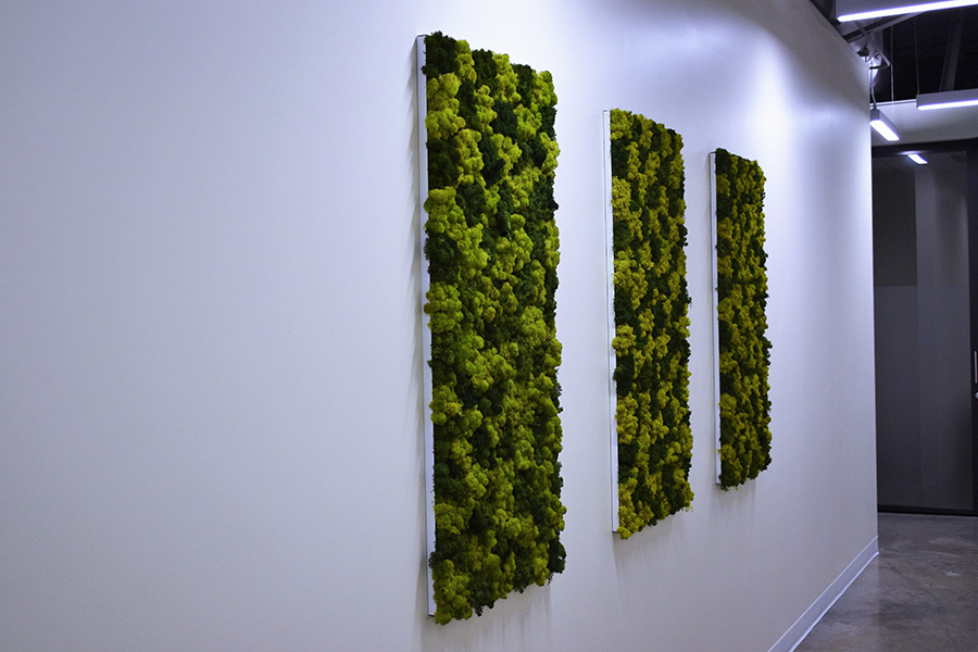 Framed Moss Art Set for Offices