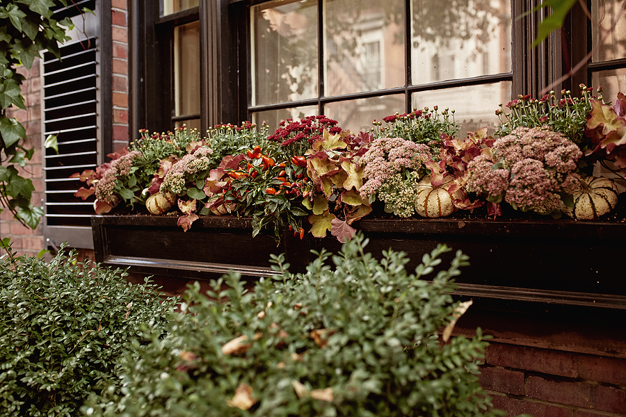 Seasonal Plants and Planter Decor for Commercial Spaces