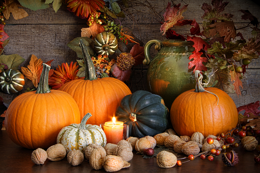 Get Into the Halloween Spirit With Commercial Plant Design