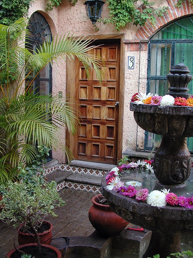 First Impressions Count: Why Hotels Need Professional Plant Care