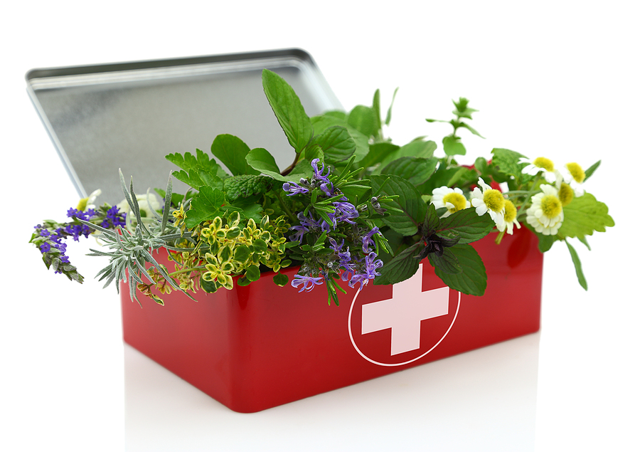 Green Healing: Plants in Healthcare Environments